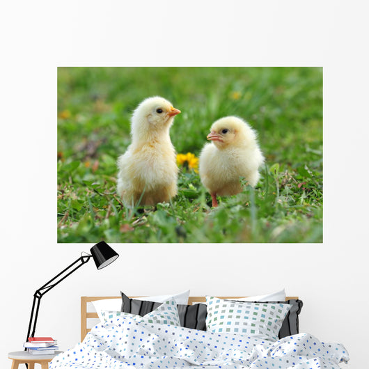 Two Young Chickens Wall Decal