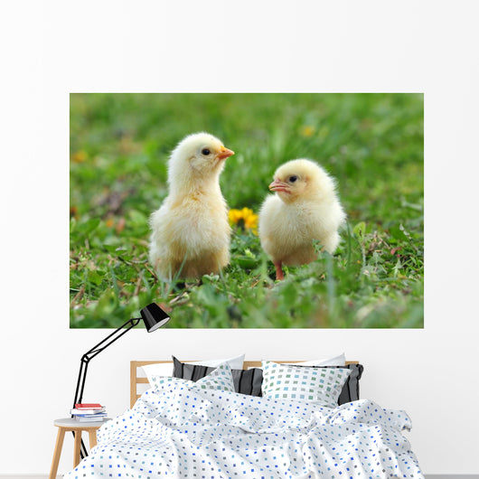 Two Young Chickens Wall Decal