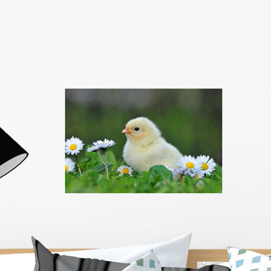 Young Chicken Wall Decal