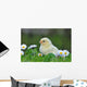 Young Chicken Wall Decal