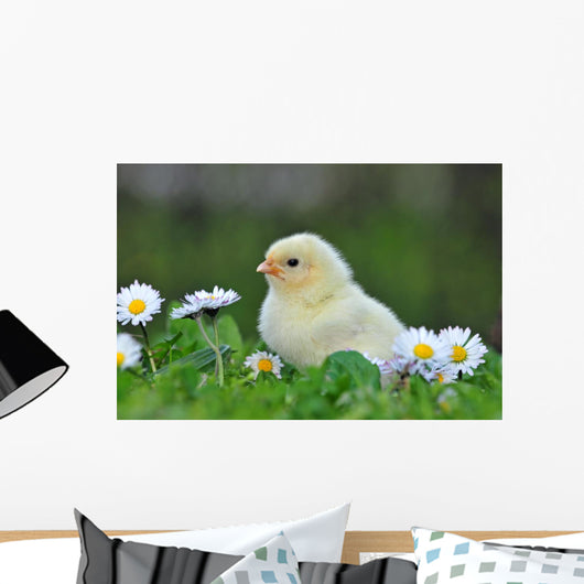 Young Chicken Wall Decal