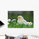 Young Chicken Wall Decal