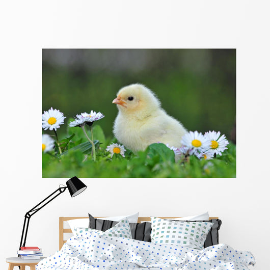 Young Chicken Wall Decal
