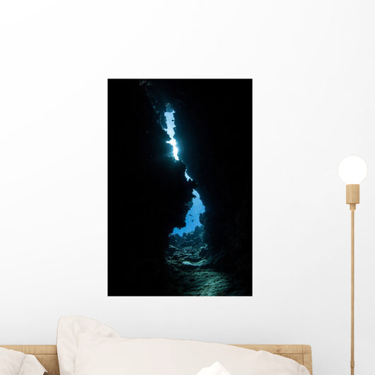 Narrow Underwater Crevice Wall Decal