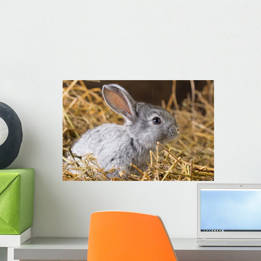 Rabbit Dry Grass Wall Decal