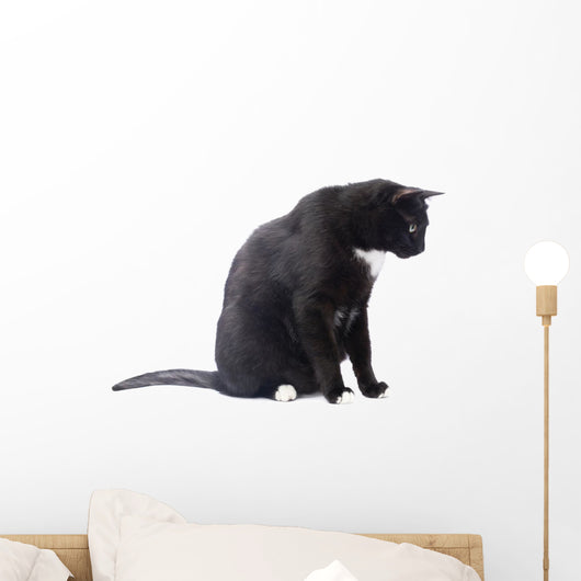Black Cat Wall Decal Design 4