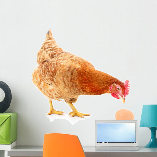 Hen and Egg Wall Decal Design 2