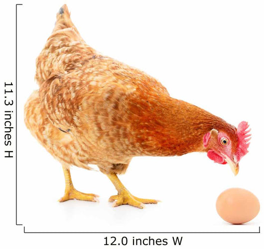 Hen and Egg Wall Decal Design 2