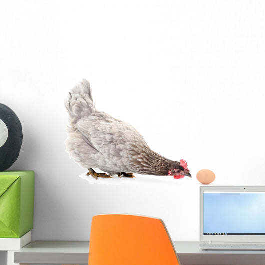Hen and Egg Wall Decal Design 1