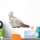 Hen and Egg Wall Decal Design 1