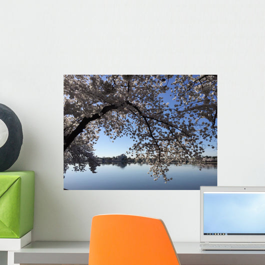 Washington Dc Wall Decal Design 1