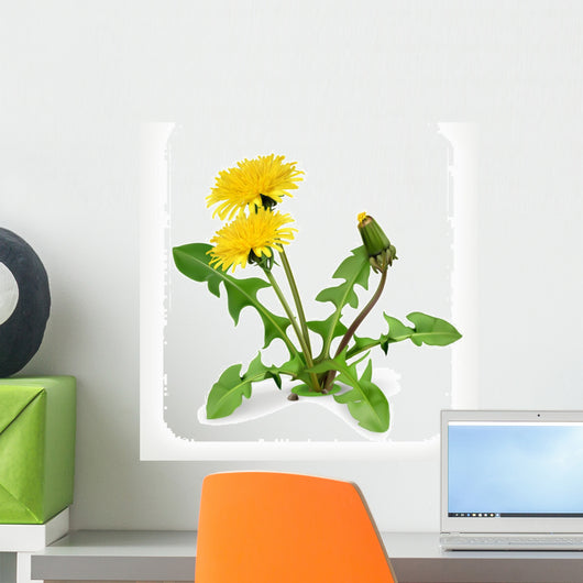 Dandelion Flowers Vector Icon Wall Decal