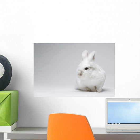 Video White Rabbit Blue Wall Decal