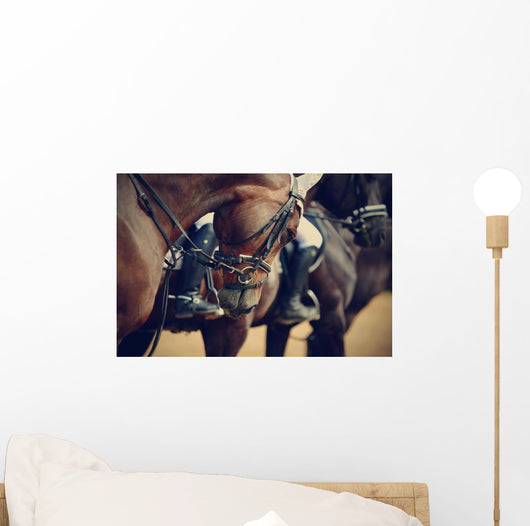 Sports Horses before Competitions Wall Decal