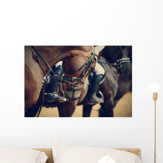 Sports Horses before Competitions Wall Decal