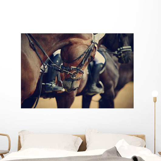 Sports Horses before Competitions Wall Decal