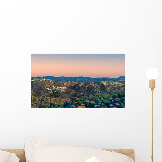 Olive Grove Wall Decal