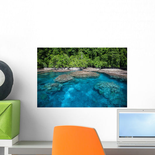 Tropical Island and Coral Wall Decal