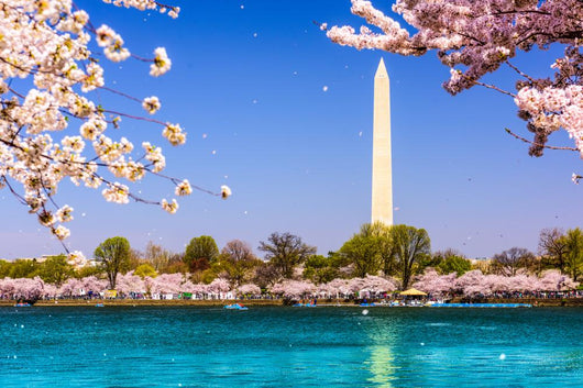 Washington Dc Washington Monument Wall Decal