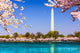 Washington Dc Washington Monument Wall Decal