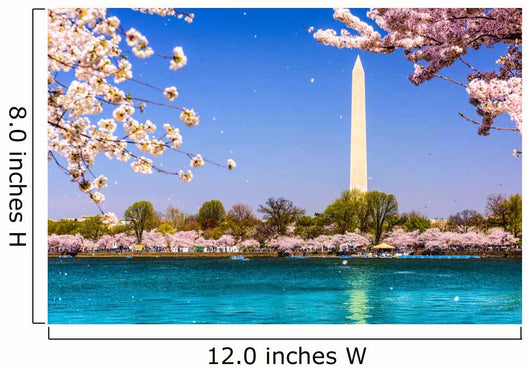 Washington Dc Washington Monument Wall Decal