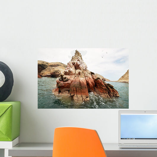 Sea Lion Rocky Formation Wall Decal