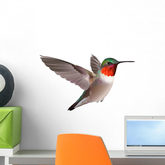 Flying Ruby-throated Hummingbird with Wall Decal