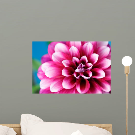 Dahlia Wall Decal
