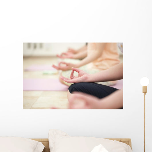 Young Women Do Yoga Wall Decal