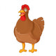 Chicken Wall Decal