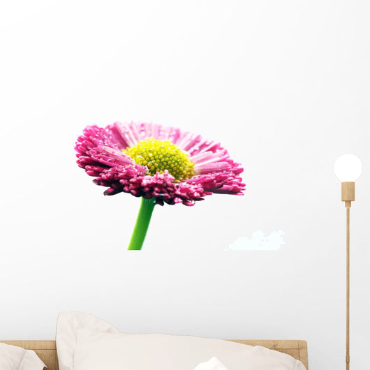 Fresh Pink Daisy Flower Wall Decal Design 2