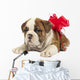 Puppy Present Wall Decal
