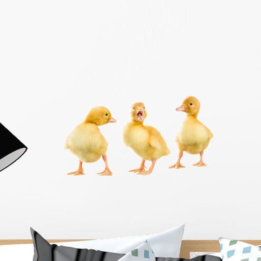 Three Yellow Ducklings Wall Stickers Wall Decal