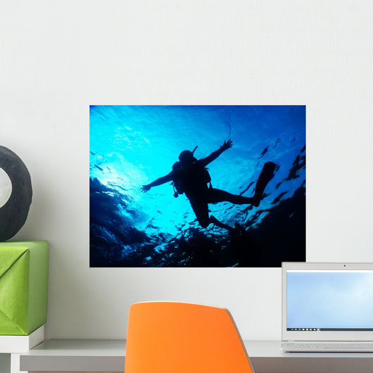 Open Water Wall Decal