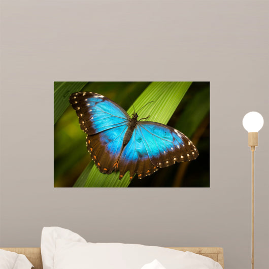 Blue Butterfly Green Leaf Wall Decal