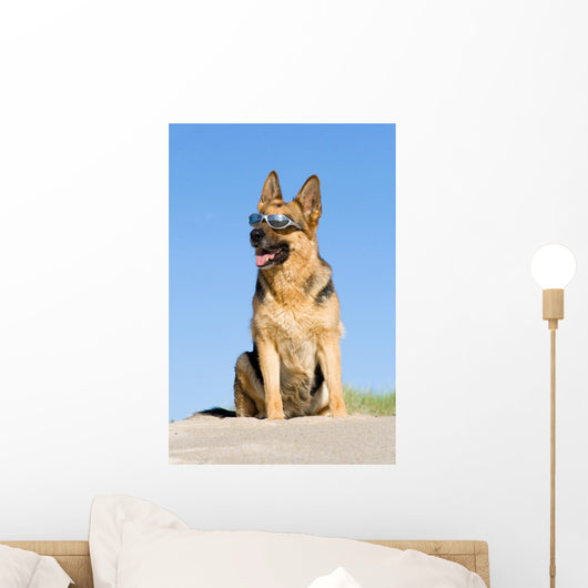 Sheep-dog Sitting Sand Beach Wall Decal