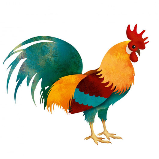 Painted Rooster White with Wall Decal