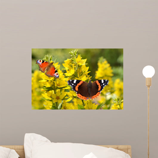 Schmetterling 127 Wall Decal