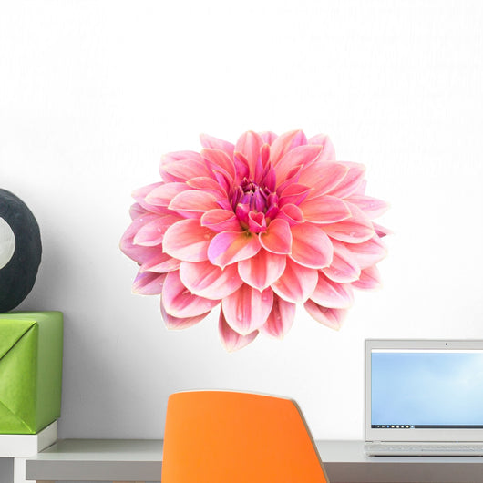 Dahlia Flower White Wall Decal