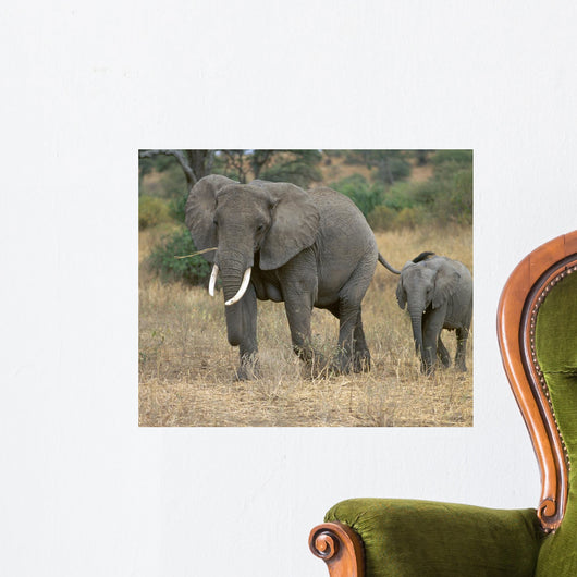 Elephants Wall Decal