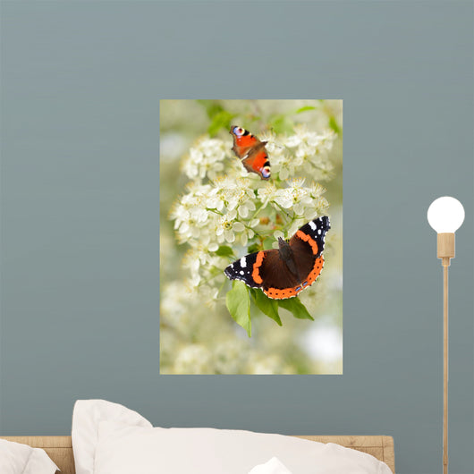 Schmetterling 126 Wall Decal