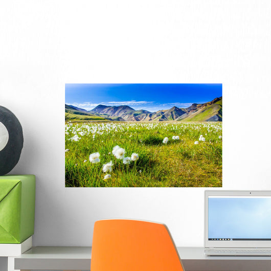 Landmannalaugar Amazing Flower Field Wall Decal