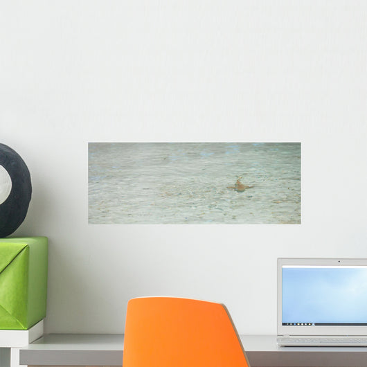 Baby shark in shallow water at Maldives Wall Mural