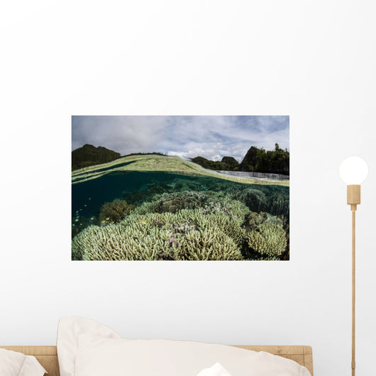 Corals Shallow Water Wall Decal