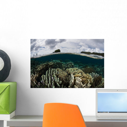 Healthy Reef Shallows Wall Decal