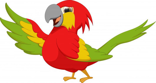Cute Macaw Bird Wall Decal