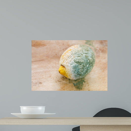 Moldy Organic Lemon Wooden Wall Decal