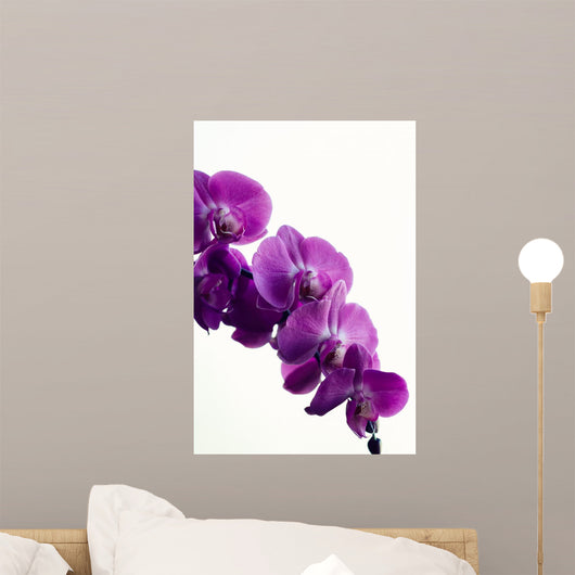 Purple Orchid Wall Decal