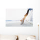 Young athlete is doing vertical push ups Wall Mural