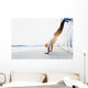 Young athlete is doing vertical push ups Wall Mural